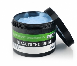 ValetPRO Black To The Future  - Ošetrenie vonkajších plastov a pneu 250ml